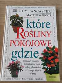 Które rośliny pokojowe gdzie