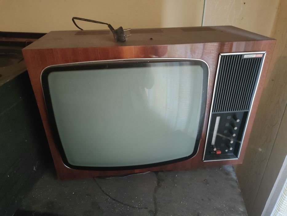 Telewizor Neptun 313A