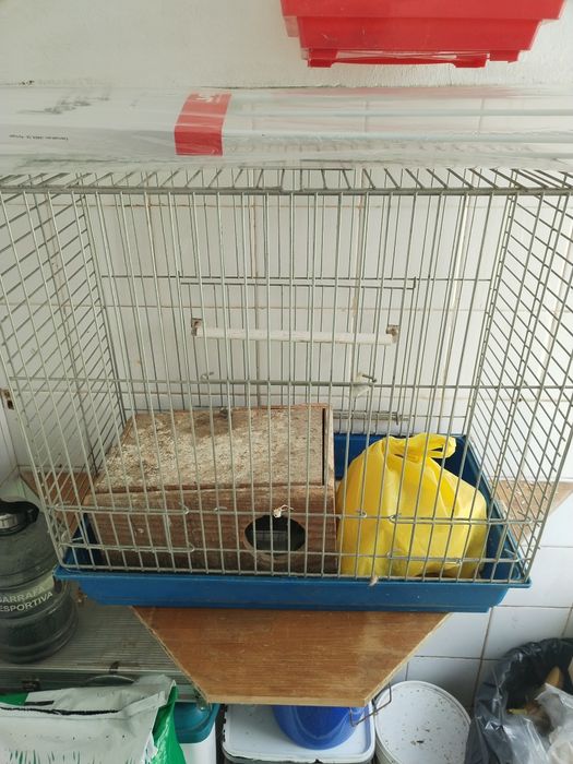 Gaiola média e ninho