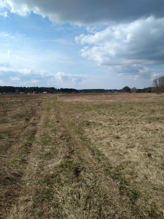 Земельна ділянка