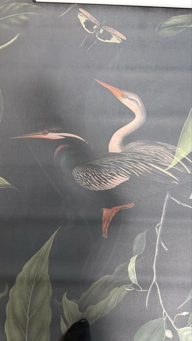Tapeta wallcolors Dark Heron