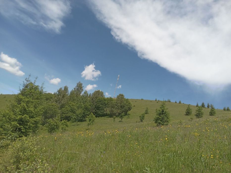 Продаж земельної ділянки