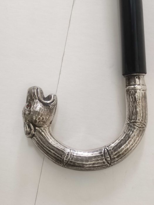 Bengala - Prata, Madeira