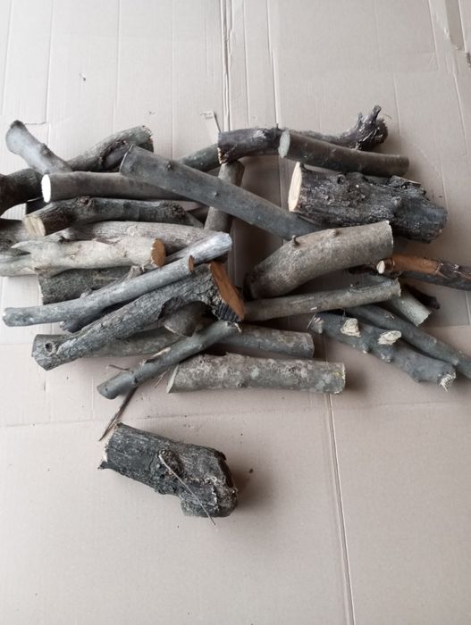 Drzewo Oliwne na Grilla 10 kg