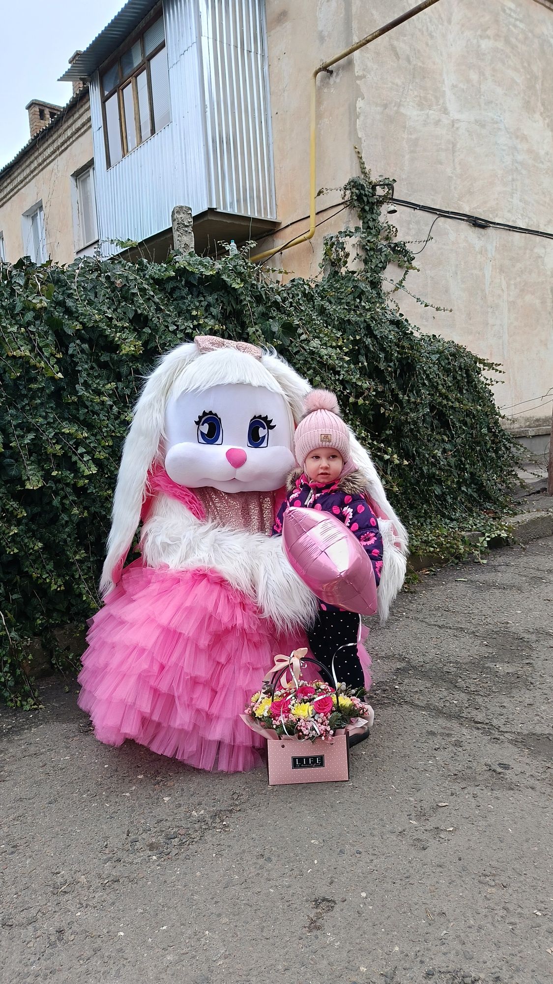 Чарівна Зайка,Киця,Тедді,пес патрон,білий Мішка.Привітання
