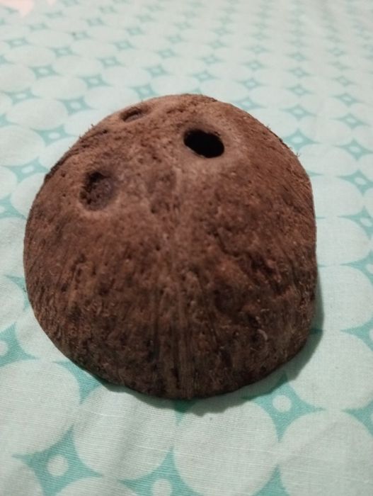 Домік для хом'яка,кокос домік.