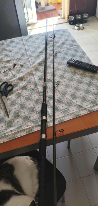 Cana de spinning cinnetic explorer 330