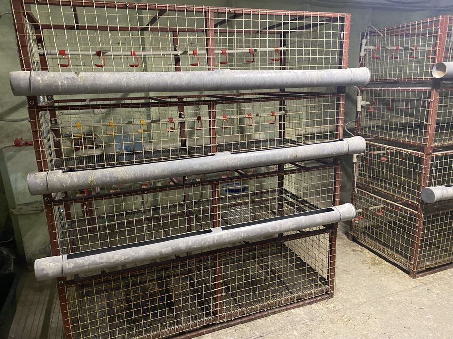 Клетки для броллера б/у