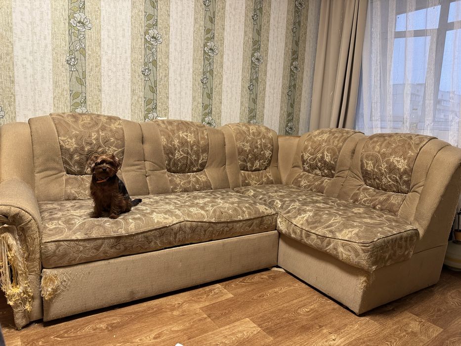 Продам угловой диван, в нормальном состоянии , есть следы эксплатации