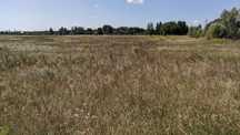 Продам участок 10 соток