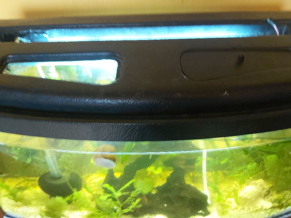 Male akwarium panorama z pokrywą