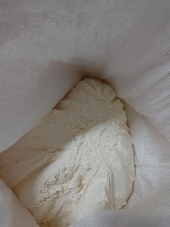 Samopsza mąka  - zdrowe plony
