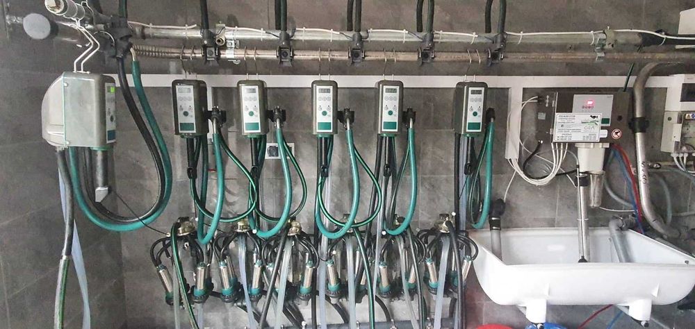 Dojarka przewodowa, rurociągowa używana Westfalia ( GEA ) MLEKO-SYSTEM