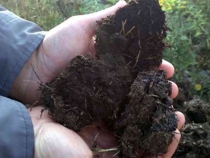 Перегній коровʼячий / Навоз