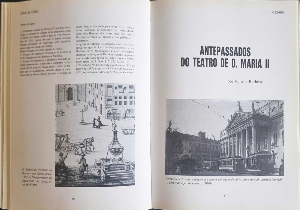 O Rossio - Marina Tavares Dias