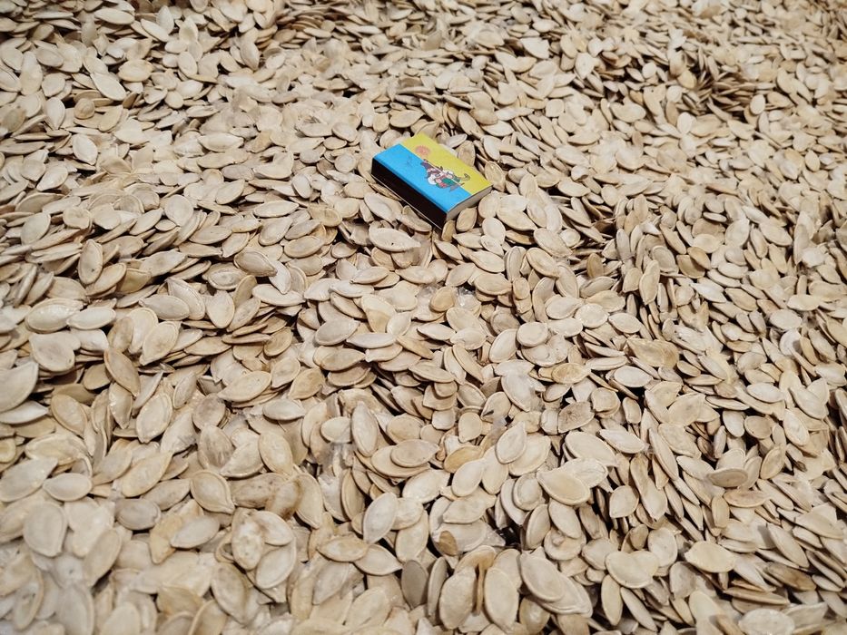 Гарбузове насіння, семечки тиквы 100кг
