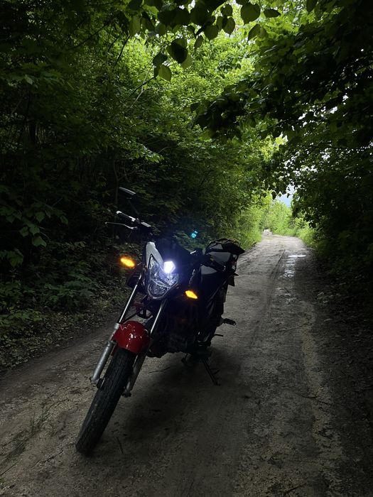 Мотоцикл Hornet RS-150 +торг