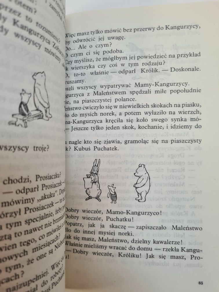 Kubuś Puchatek - A.A. Milne