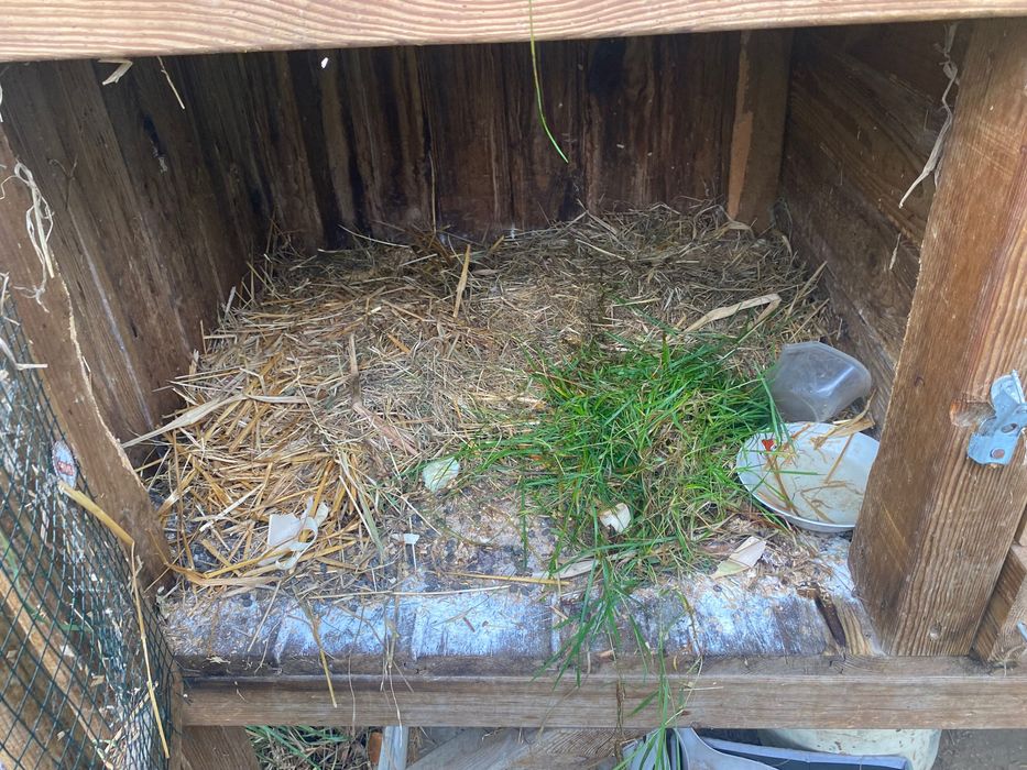 AKTULANE Sprzedam klatke dla królików