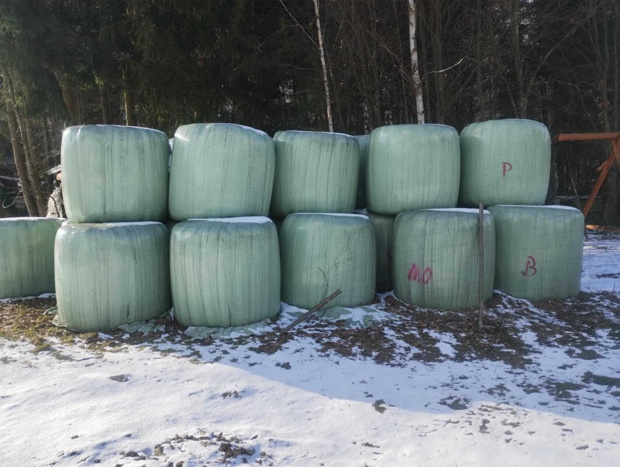 Bele sianokiszonka poł sucha