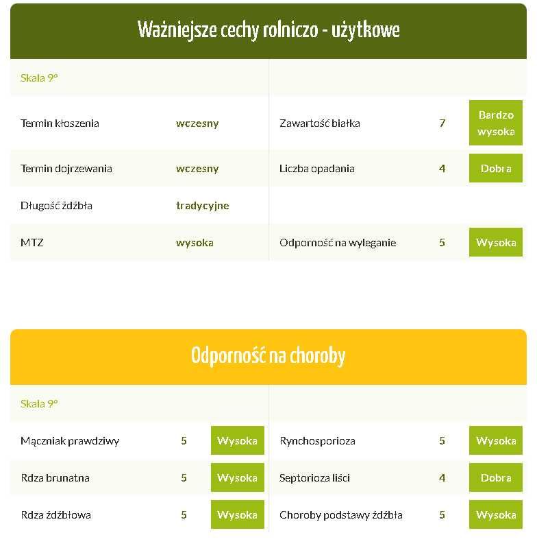Żyto ozime Dańkowskie Hadron C1 0,5 ha 136 zł materiał siewny 2025