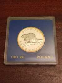 Moneta 100zł Ochrona Środowiska Bóbr 1978 rok