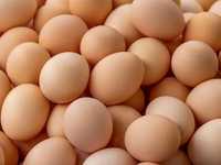Домашні курячі яйця, продам яйця