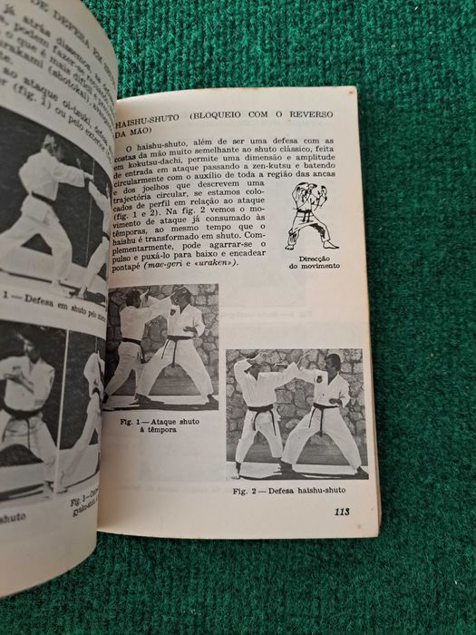 Karate e Zen - Ruy Mendonça