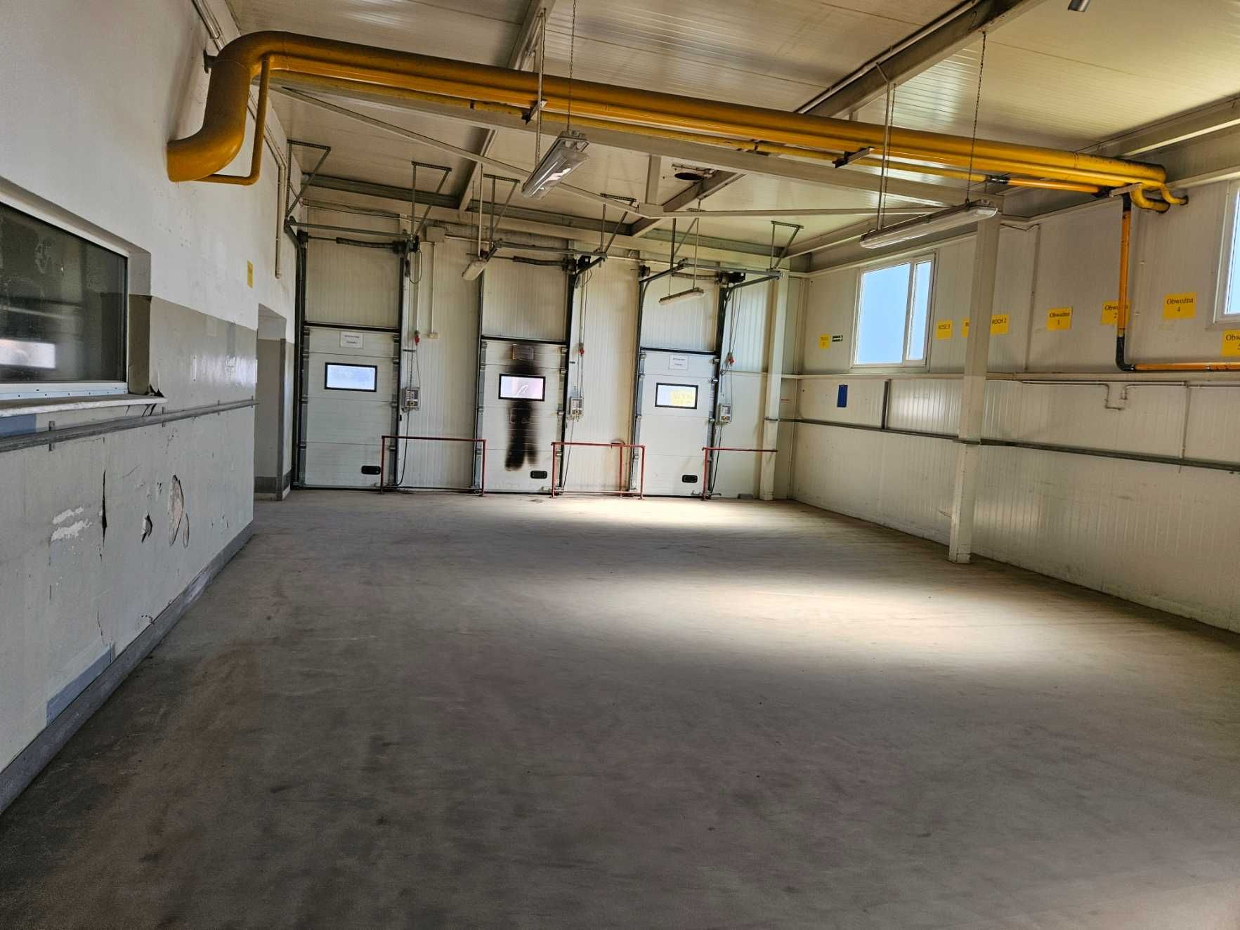 Magazyn 245m2, utwardzony i ogrodzony teren wokół, instalacja elektr