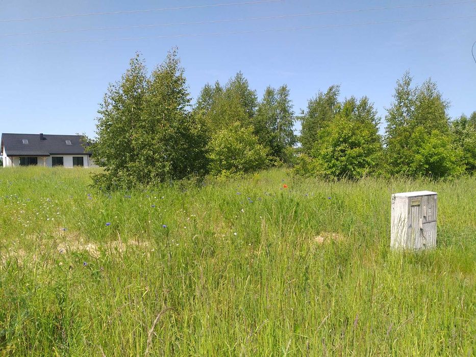 Działka budowlana 3000m2 Biskupin / Lipno