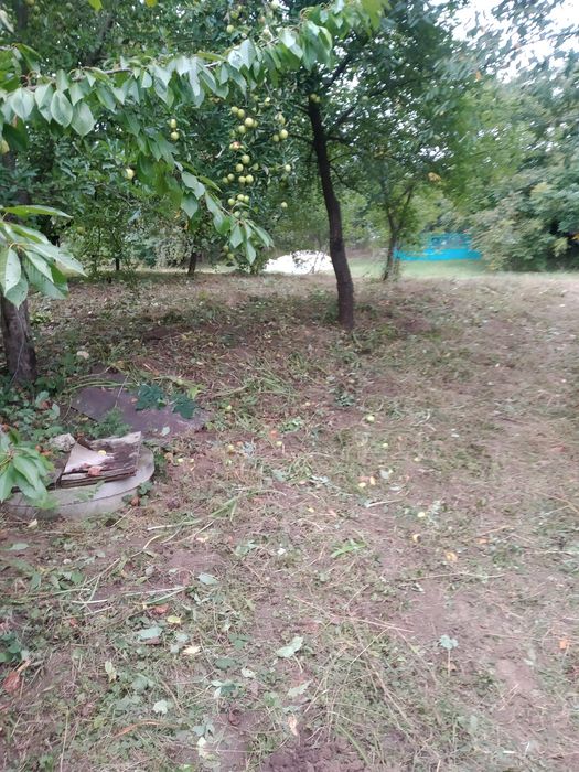 фреза мотоблоком оранка