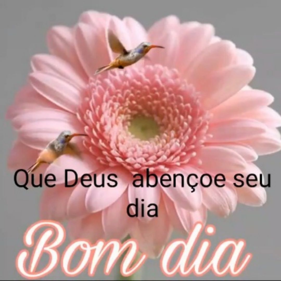 Serviço doméstico em Portimão