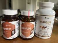 Cordyceps zestaw nowe