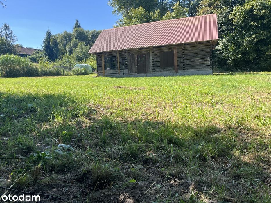 Dom do generalnego remontu. Przy lesie. Samotnia/ Agroturystyka.