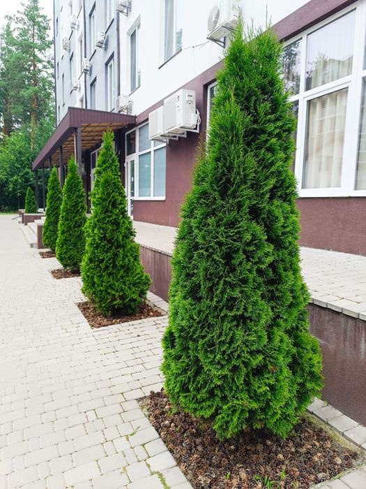 ЖК Идея, м. Бориспольская, Бортничи