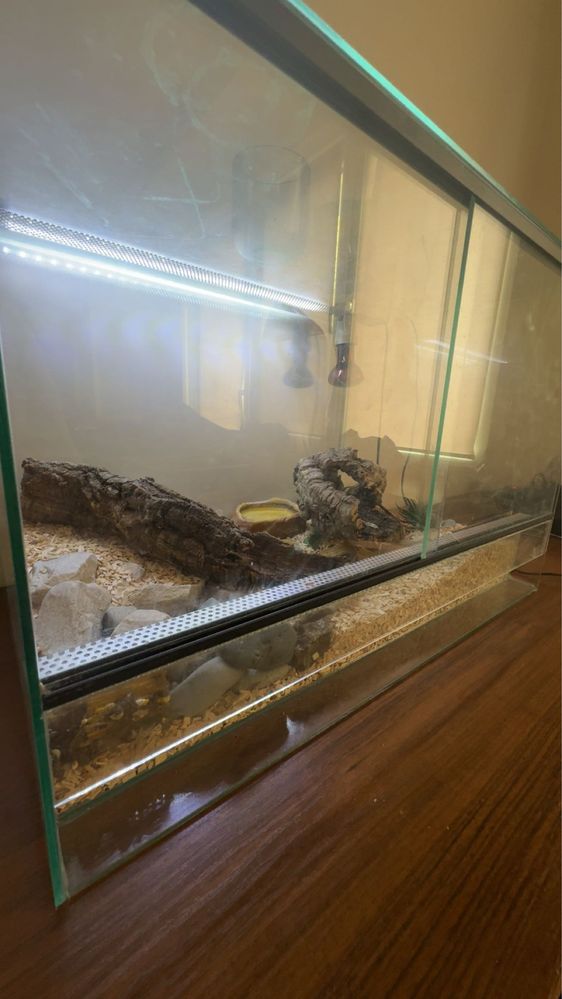 Sprzedam terarium z gekonami