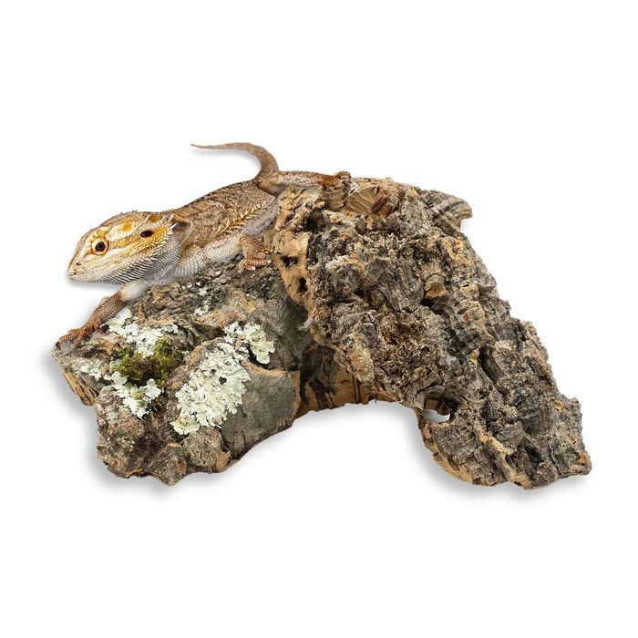 Biocork Bits Ścinki Kory Dębu Korkowego 250G