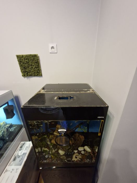 Akwarium 160 z szafką i wyposażeniem