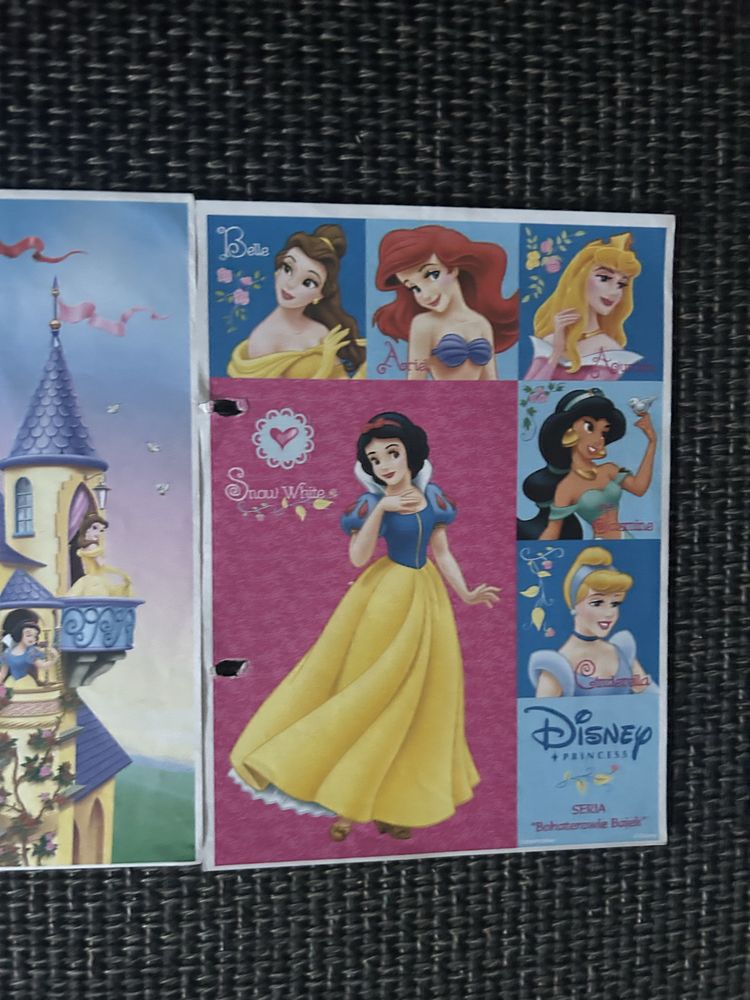 Karteczki Disney