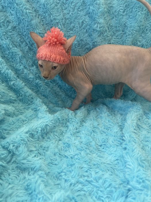 Чудовий хлопчик