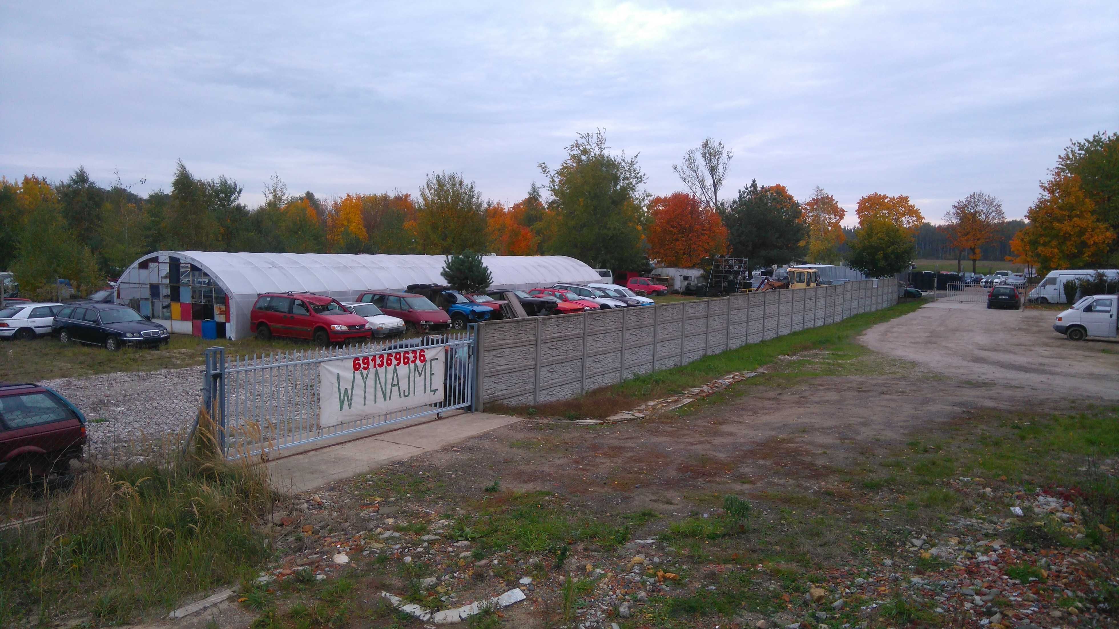 Do wynajęcia plac wraz z tunelem foliowym - Sieniawa Żarska