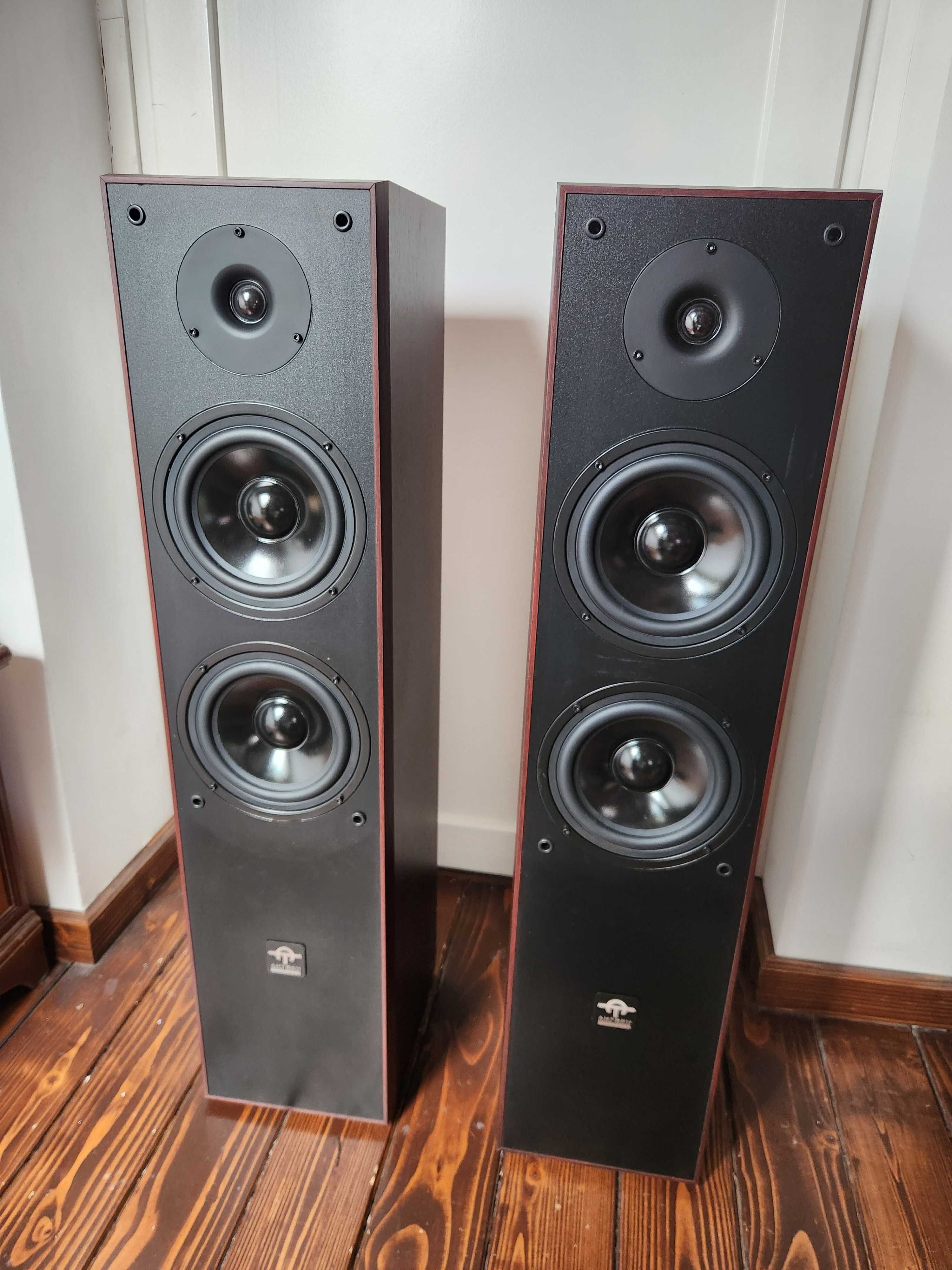Głośniki Centralne 90cm Wysokości Kolor Wiśnia Amtech Ss-at5000f 90w