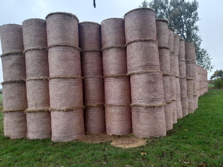 Sprzedam bele słomy