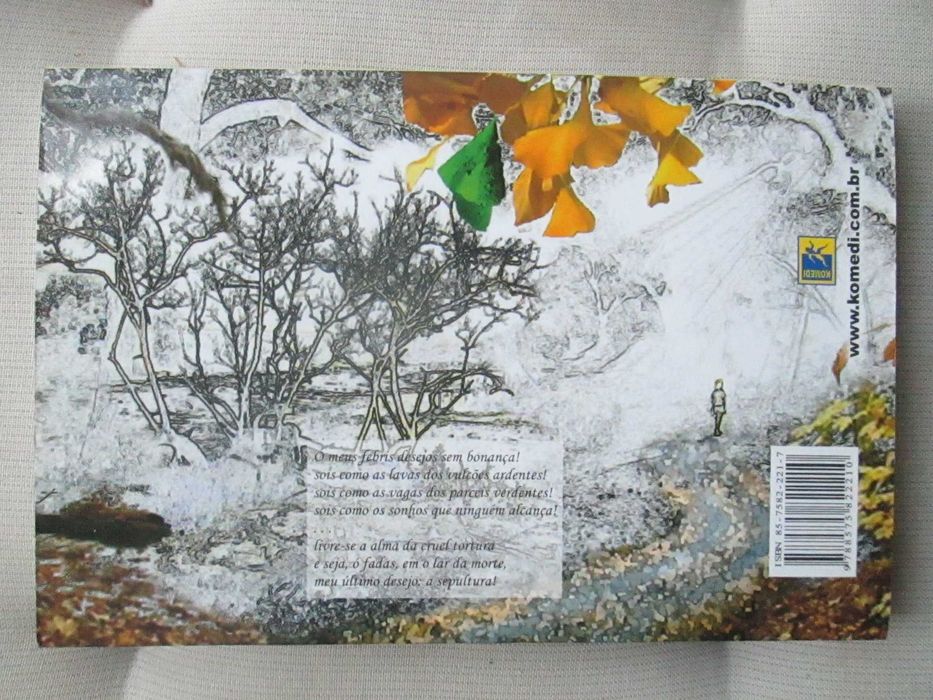 O Poeta Além Vale, António Januário Leite