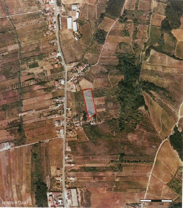 Terrenos em Painho/Cadaval -  Oportunidade de Investimento para agricu