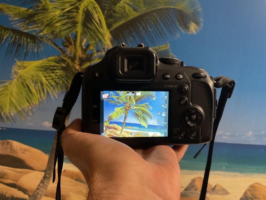 Panasonic Lumix DC-FZ82 (18.1 MP, 60X ZOOM)