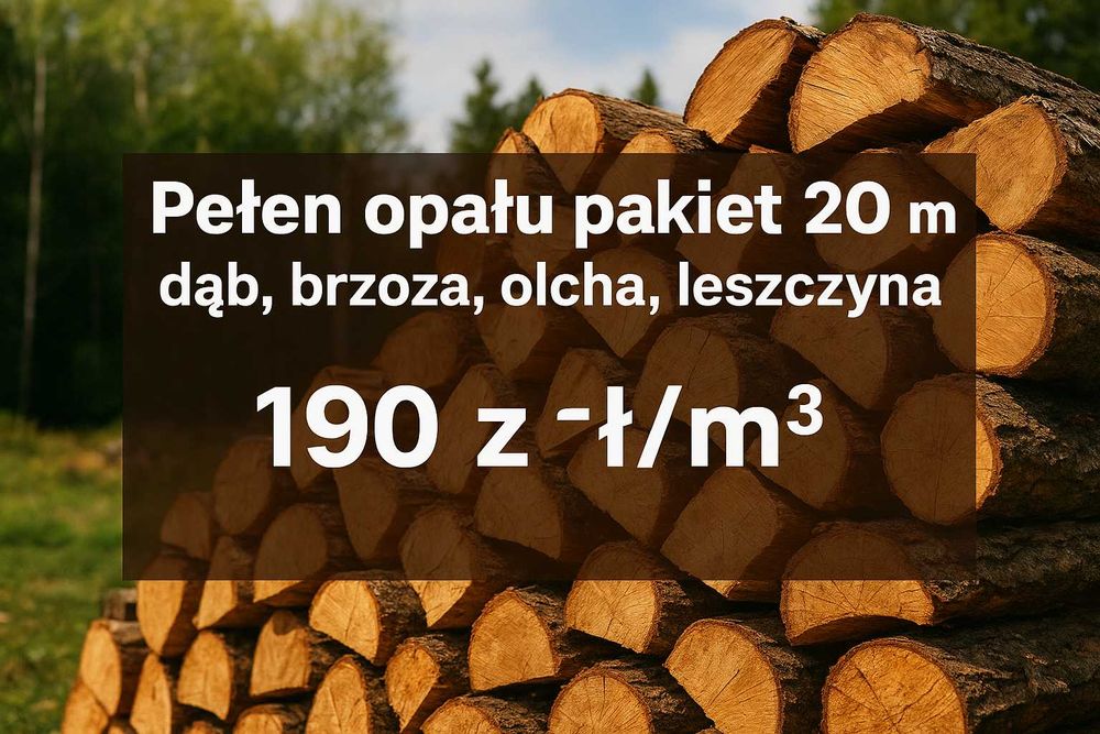 Drewno opałowe – mieszanka twardego i miękkiego, idealne na zimę!