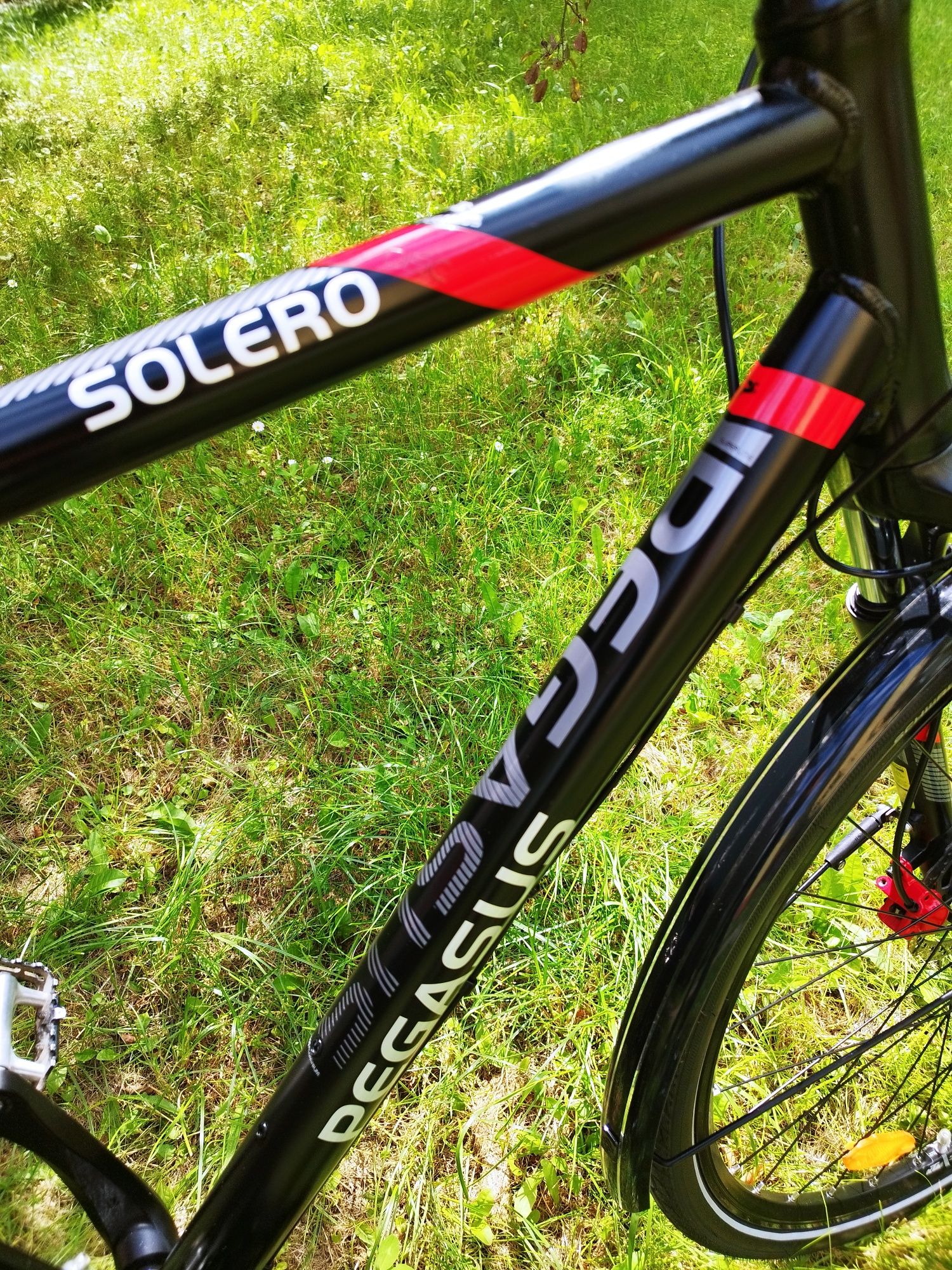 PEGASUS Solero Disc na kołach 28 cali Shimano Deore
