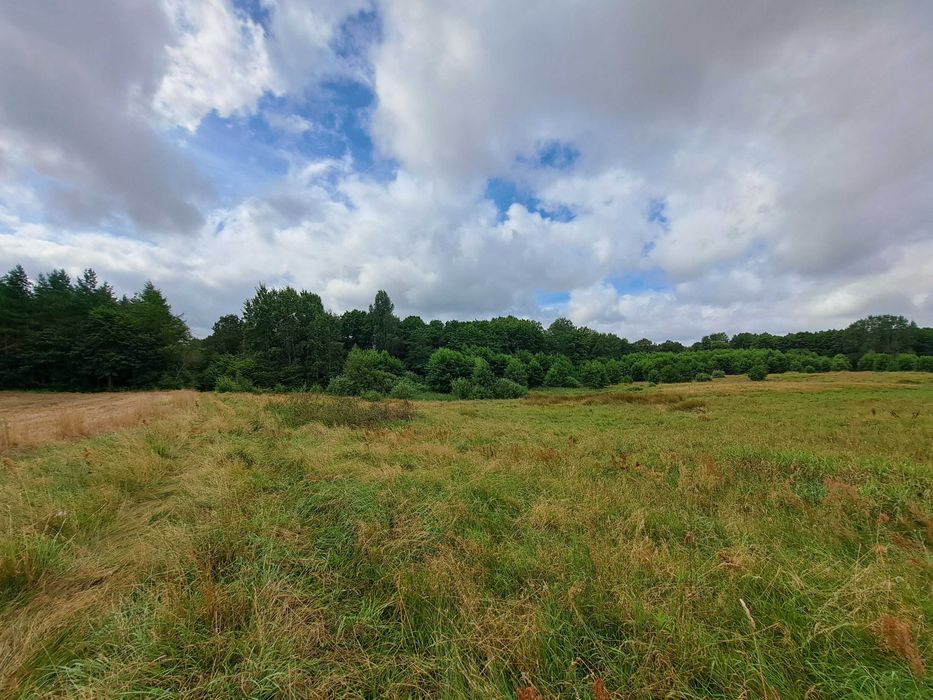 Działka leśna 11800m2 w Gniewinie