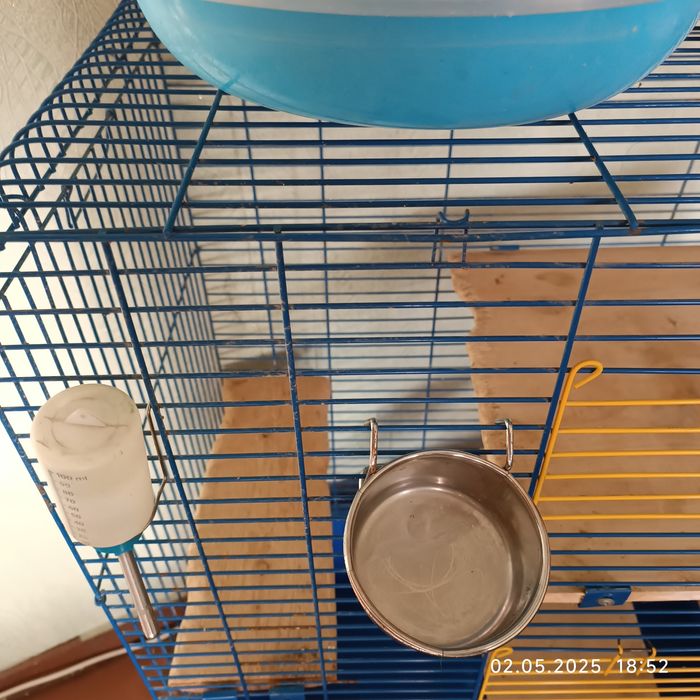 Клітина для гризунів найбільша